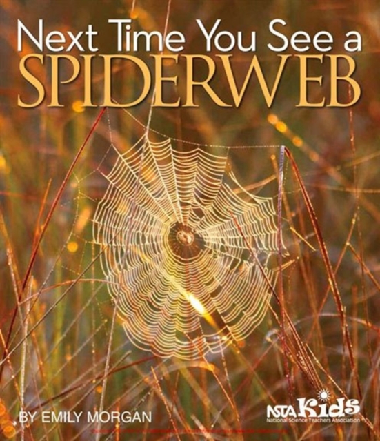 Next Time You See a Spiderweb - Emily Morgan