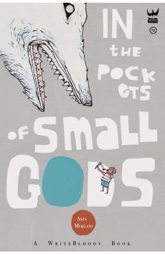 In the Pockets of Small Gods - Anis Mojgani