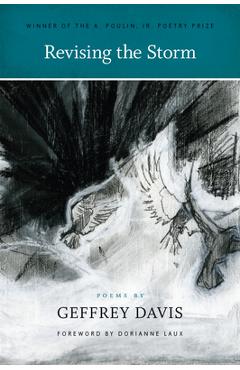 Coperta cărții 'Revising the Storm - Geffrey Davis'