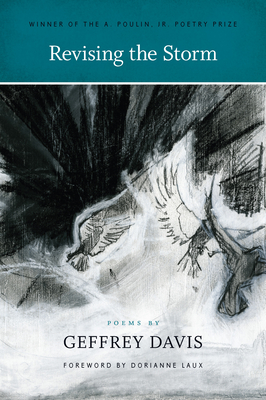 Revising the Storm - Geffrey Davis
