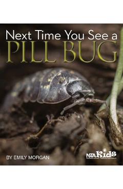 Next Time You See a Pill Bug - Emily Morgan