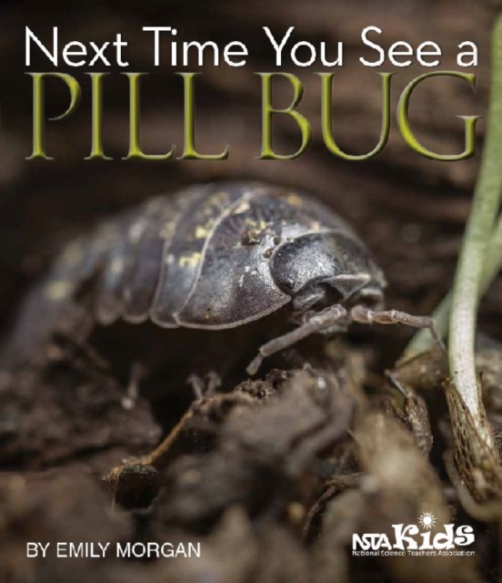 Next Time You See a Pill Bug - Emily Morgan