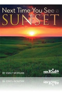 Next Time You See a Sunset - Emily Morgan