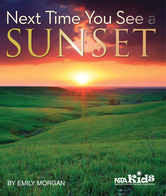 Next Time You See a Sunset - Emily Morgan