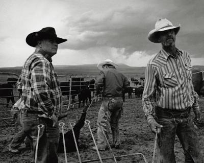 Open Range: America's Big-Outfit Cowboy - Langmore John
