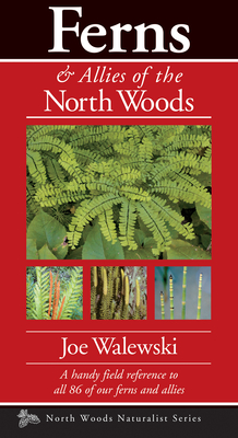 Ferns & Allies of the North Woods: A Handy Field Reference to All 86 of Our Ferns and Allies - Joe Walewski