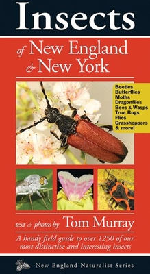 Insects of New England & New York - Tom Murray