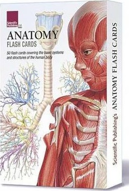 Anatomy Flash Cards - Scientific Publishing