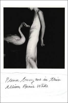 Please Bury Me in This - Allison Benis White