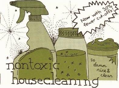 Nontoxic Housecleaning - Raleigh Briggs
