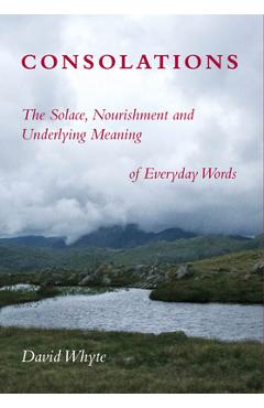 Coperta cărții 'Consolations: The Solace, Nourishment and Underlying Meaning of Everyday Words - David Whyte'