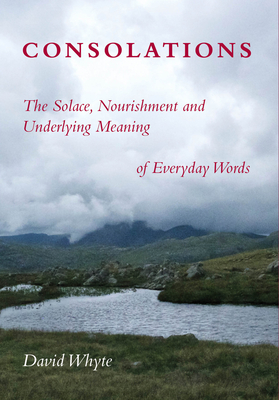 Consolations: The Solace, Nourishment and Underlying Meaning of Everyday Words - David Whyte