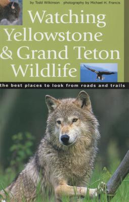 Watching Yellowstone & Grand Teton Wildlife - Todd Wilkinson