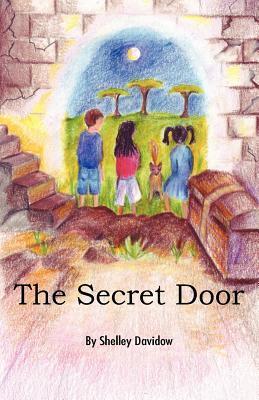 The Secret Door - Shelley Davidow