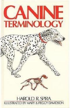 Canine Terminology - Harold R. Spira