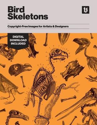 Bird Skeletons: Copyright-Free Images for Artists & Designers - Kale James