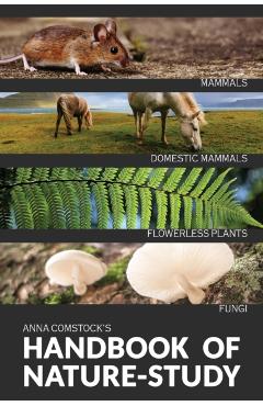 The Handbook Of Nature Study in Color - Mammals and Flowerless Plants - Anna Comstock