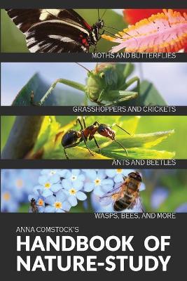 The Handbook Of Nature Study in Color - Insects - Anna B. Comstock