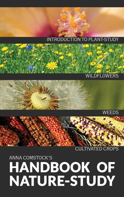 The Handbook Of Nature Study in Color - Wildflowers, Weeds & Cultivated Crops - Anna B. Comstock