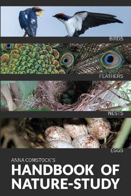 The Handbook Of Nature Study in Color - Birds - Anna B. Comstock