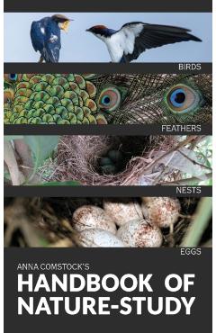 The Handbook Of Nature Study in Color - Birds - Anna B. Comstock