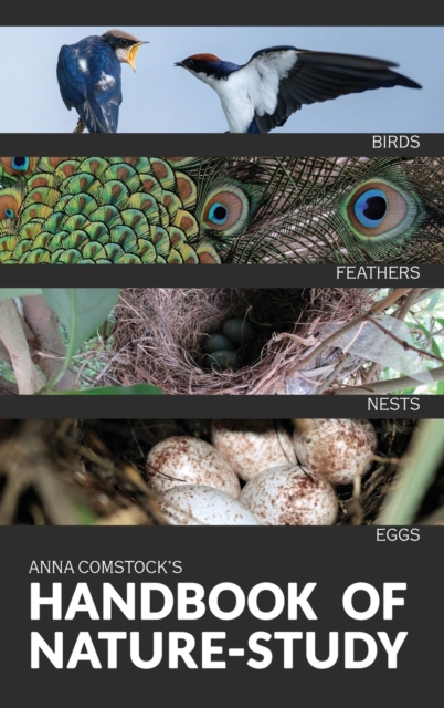 The Handbook Of Nature Study in Color - Birds - Anna B. Comstock