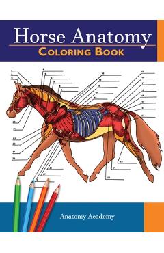 Animal and Human Anatomy Coloring Book for Kids: Ages 4-8 8-12