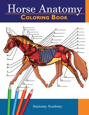 Horse Anatomy Coloring Book: Incredibly Detailed Self-Test Equine Anatomy Color workbook - Perfect Gift for Veterinary Students, Horse Lovers & Adu - Anatomy Academy