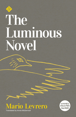 The Luminous Novel - Mario Levrero