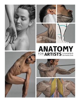Anatomy for Artists: A Visual Guide to the Human Form - Publishing 3dtotal