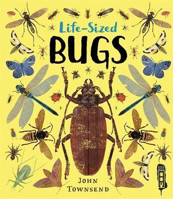 Life-Sized Bugs - John Townsend