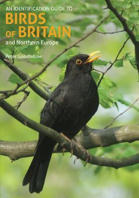 Identification Guide to Birds of Britain & Northern Europe - Peter Goodfellow
