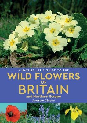 A Naturalist's Guide to Wild Flowers of Britain & Northern Europe - Andrew Cleave