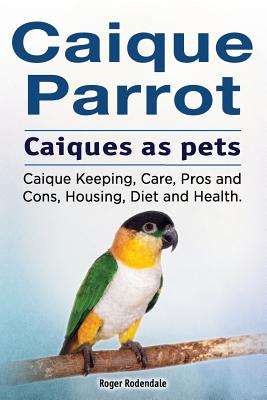 Caique parrot. Caiques as pets. Caique Keeping, Care, Pros and Cons, Housing, Diet and Health. - Roger Rodendale