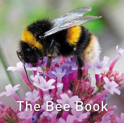 The Bee Book - Jo Byrne