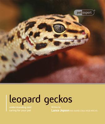 Leopard Gecko - Lance Jepson