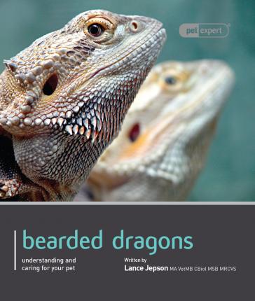 Bearded Dragon - Lance Jepson