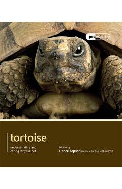 Coperta cărții 'Tortoise - Lance Jepson'