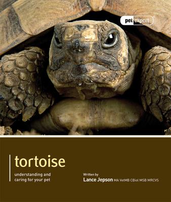 Tortoise - Lance Jepson