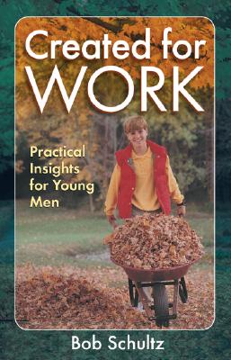 Created for Work: Practical Insights for Young Men - Bob Schultz
