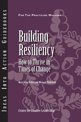 Building Resiliency: How to Thrive in Times of Change - Mary Lynn Pulley