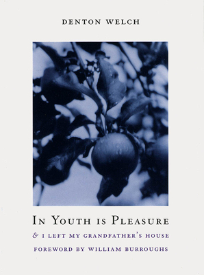In Youth Is Pleasure: & I Left My Grandfather's House - Denton Welch