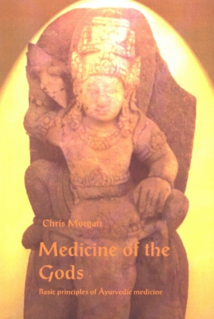 Medicine of the Gods: Basic Principles of Ayurvedic Medicine - Mogg Morgan