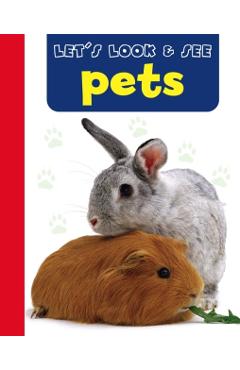 Coperta cărții 'Pets - Armadillo'