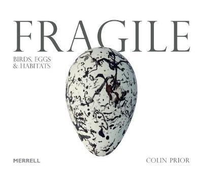 Fragile: Birds, Eggs and Habitats - Colin Prior