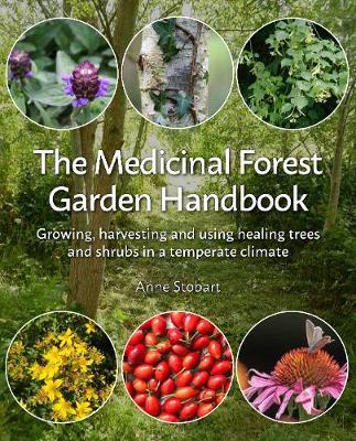 The Medicinal Forest Garden Handbook: Growing, Harvesting and Using Healing Trees and Shrubs in a Temperate Climate - Anne Stobart