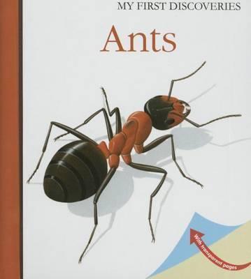 Ants - Rene Mettler