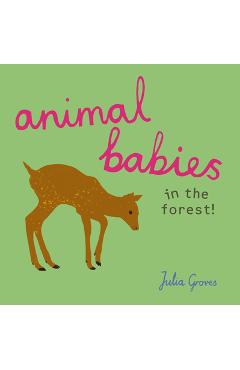 Coperta cărții 'Animal Babies in the Forest! - Julia Groves'