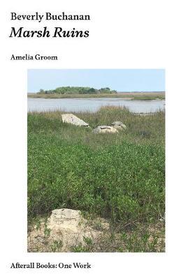 Beverly Buchanan: Marsh Ruins - Amelia Groom