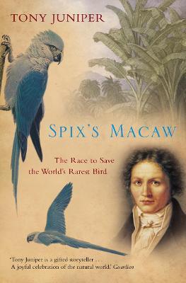 Spix's Macaw: The Race to Save the World's Rarest Bird - Tony Juniper